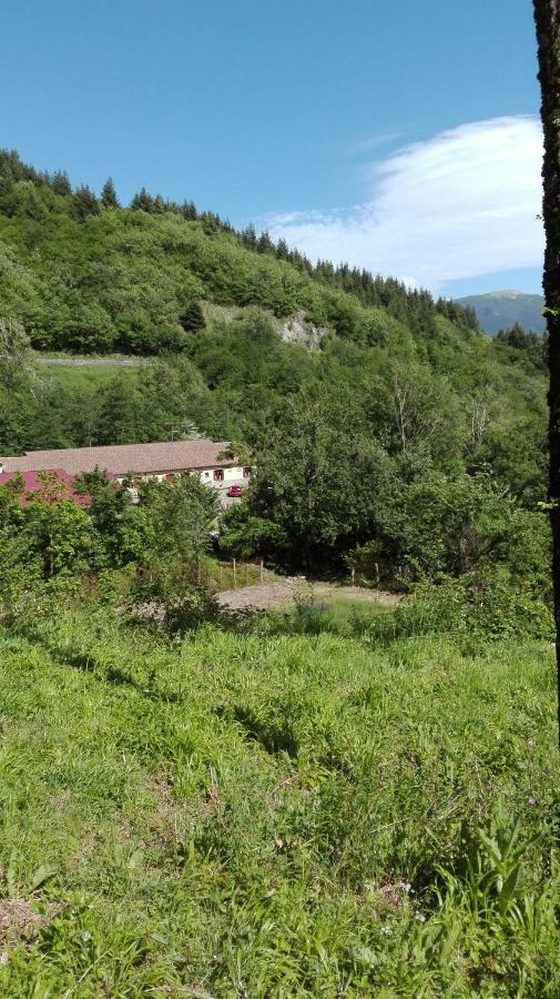 Agriturismo Rio Ricco Busana ภายนอก รูปภาพ