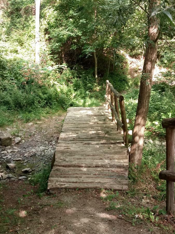 Agriturismo Rio Ricco Busana ภายนอก รูปภาพ