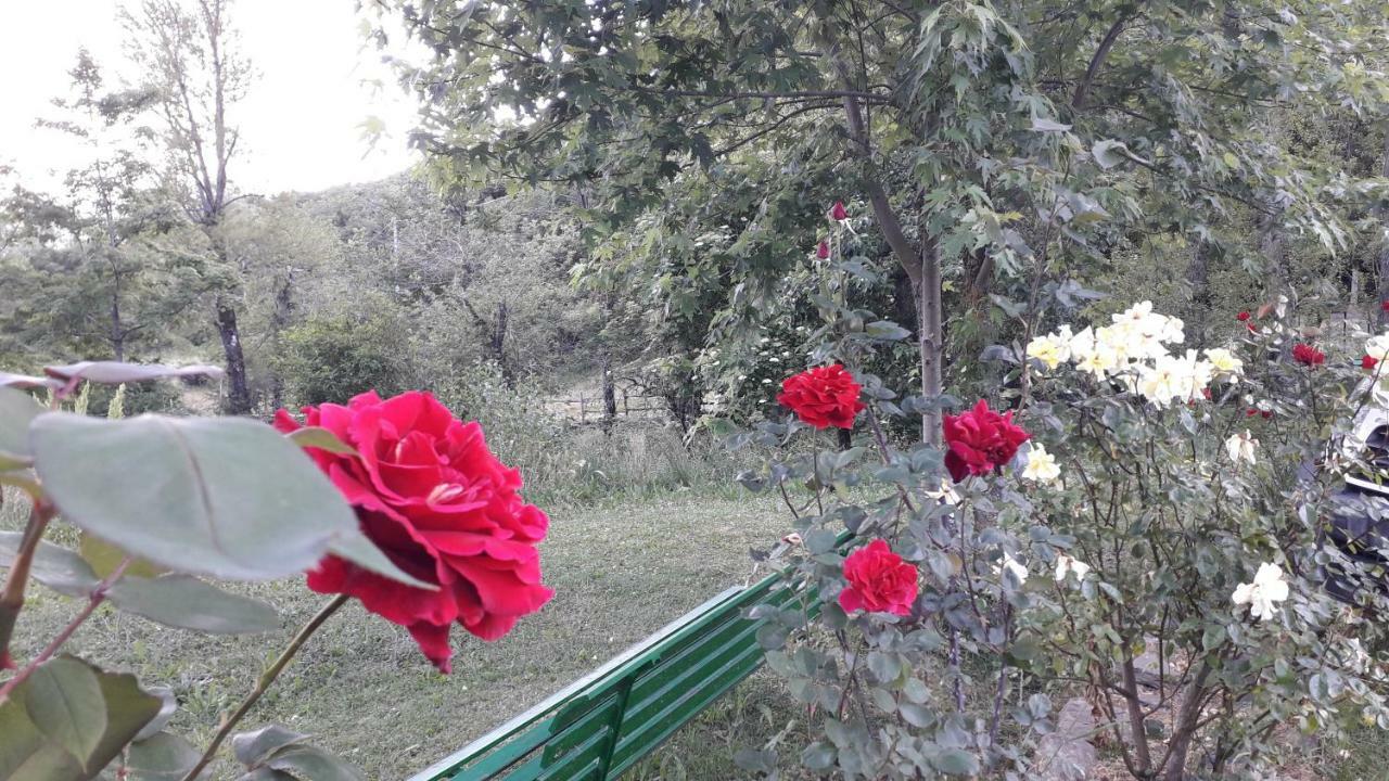 Agriturismo Rio Ricco Busana ภายนอก รูปภาพ